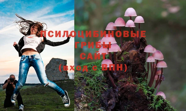 хмурый Горнозаводск